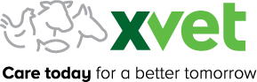 Xvet